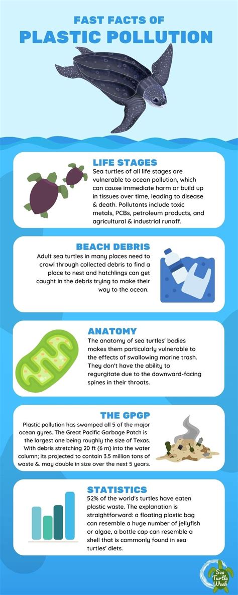 7 Facts About Ocean Plastic Pollution for Kids - raincitystudios.com