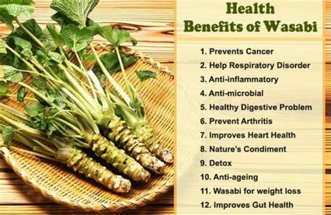 7 Health Benefits Of Wasabi - DoveMed