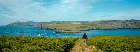 7 Little-Known Facts About Nature and Wildlife in the Isle of Man - raincitystudios.com