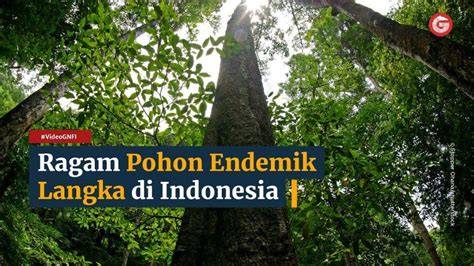 7 Macam Pohon Endemik Berstatus Langka di Indonesia - raincitystudios.com