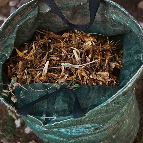 7 Methods To Shred Leaves For Mulch, Compost or … - raincitystudios.com