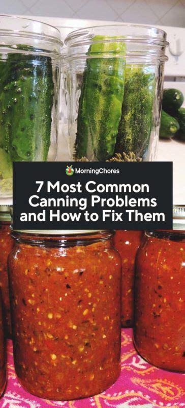 7 Most Common Canning Problems and How to Fix Them …