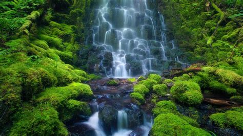 7 Of the Most Beautiful Rainforest Destinations for … - raincitystudios.com