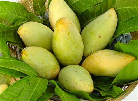 7 Popular Indonesian Mangoes You #MustTry - raincitystudios.com