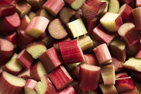 7 Rhubarb Recipes That Go Beyond Boring Pie - Rural Sprout