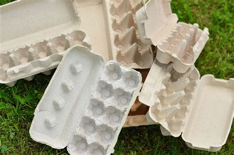 7 Simple Ways to Reuse Egg Cartons - raincitystudios.com