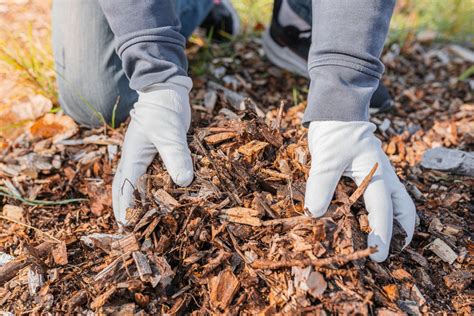 7 Things You Can Do With Old Mulch - The Practical … - raincitystudios.com