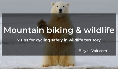 7 Tips for Mountain Biking Safely in Wildlife Territory