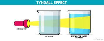 7 Tyndall Effect Examples in Daily Life – StudiousGuy