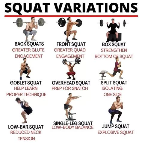 7 Types of Squats in the Gym Weighted Squat Variations