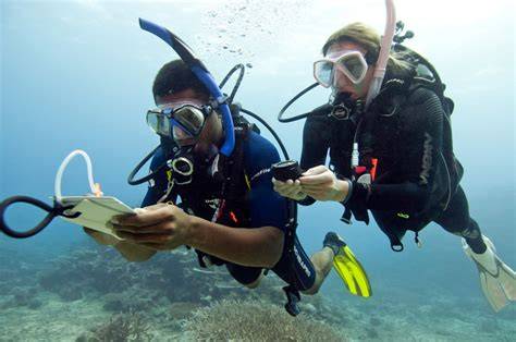 7 Underwater Navigation Tips To Dive As An Expert - Dressel Divers - raincitystudios.com
