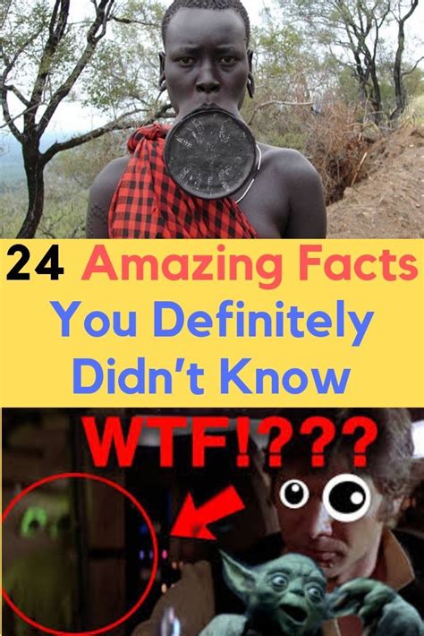 7 Unique Facts That You Didn