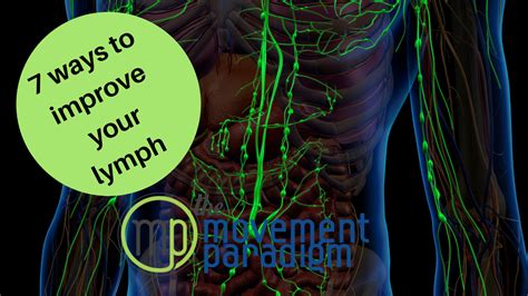 7 Ways to Improve Your Lymphatic System I Beginner Lymph …