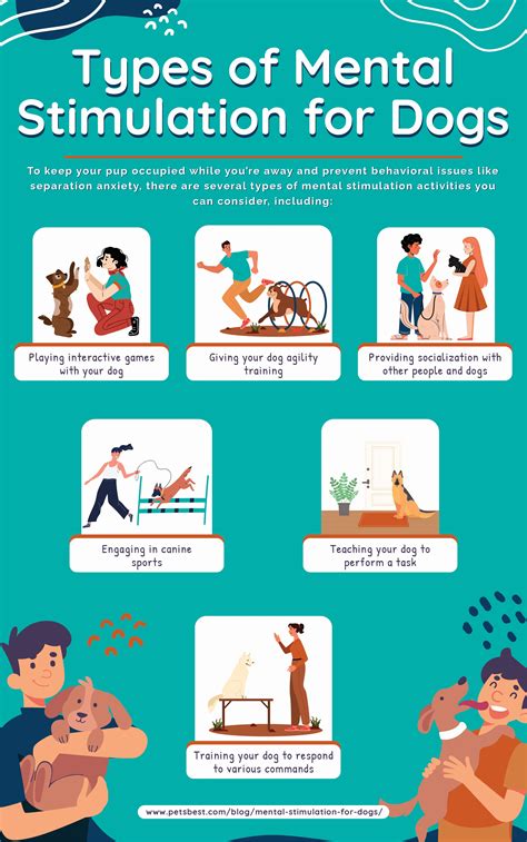 7 Ways to Provide Mental Stimulation for Dogs