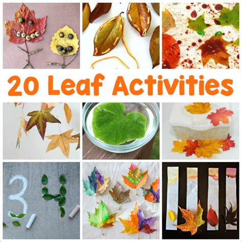 7 Awesome Leaf Activities For Preschoolers Plus A Leaf Patterns For Preschool - Leaf Patterns For Preschool