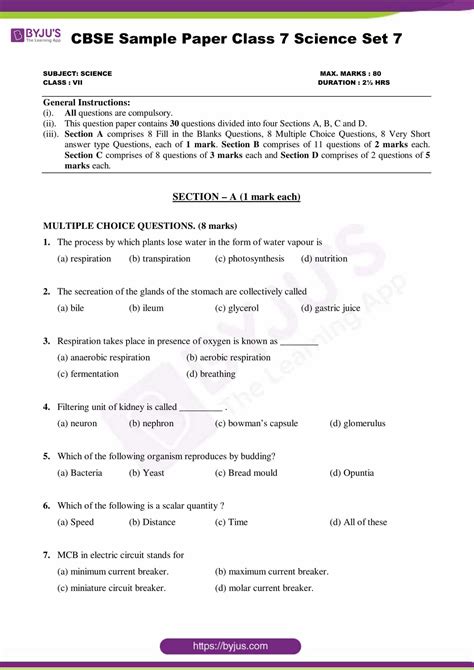 7 Class Exam Paper 2019