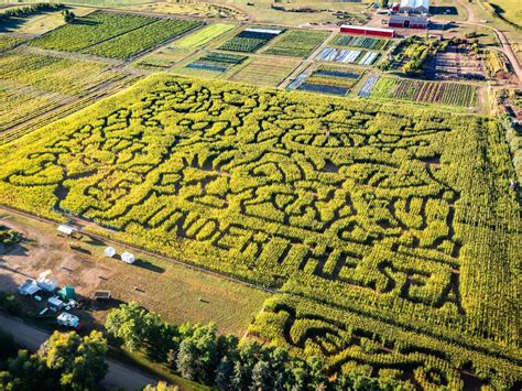 7 corn mazes to try near Denver