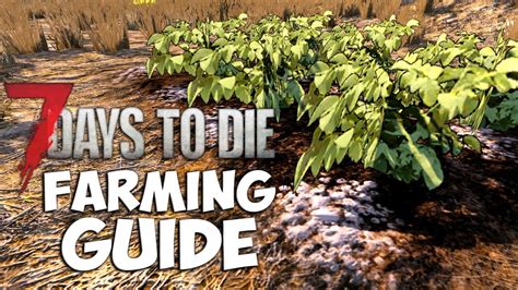 7 days to die book farming. Jun 18, 2023 · 7 Days to Die > Questions & Answers > Topic Details. Wish Granter Jun 18, 2023 @ 4:50am. Farming in Alpha 21? Did they nerf farming again? With full level farming, you get only 3 plants, with a 50% chance of a additional one. So when harvesting 100 Corn, you need 500 seeds to replant. But the stanard yield is only 300. 