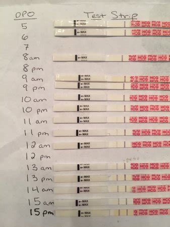 The problem is there’s no such thing as a one-to-one correlation when it comes to hCG levels and DPO. We don’t all produce the exact same amount at the exact same time. While some pregnancies may get a BFP at 8 DPO, not all will. For many people, they’ll see an 8 DPO negative pregnancy test, but that doesn’t mean it’s their BFN.. 
