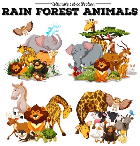7 Forest Animals Preschool Worksheets Amp Rainforest Worksheets For Preschool - Rainforest Worksheets For Preschool