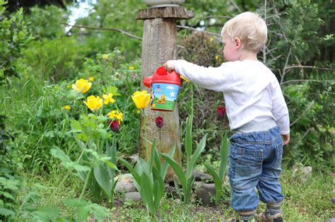 7 Gardening Science Projects To Try This Spring Garden Science Experiments - Garden Science Experiments