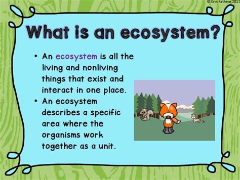 7 Ideas To Teach Ecosystems And Food Webs Food Chain Activity 3rd Grade - Food Chain Activity 3rd Grade