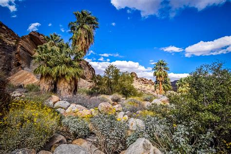 7 must-see spots in Southern California’s deserts