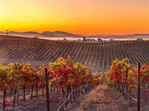 7 of the Best Wineries in Napa Valley with Free Tastings - CA …