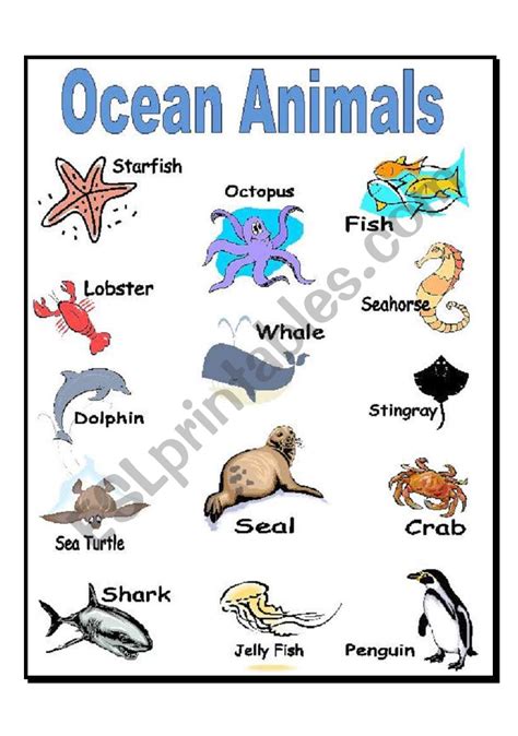 7 Sea Animals Worksheets Amp Sea Animals Worksheet - Sea Animals Worksheet