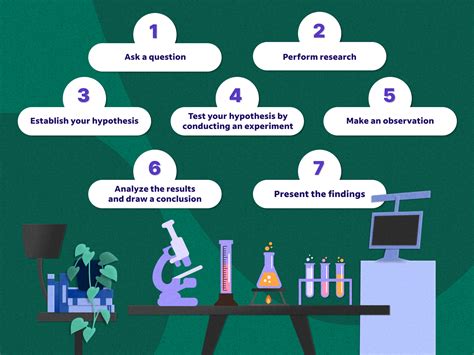 7 Steps Of The Scientific Process