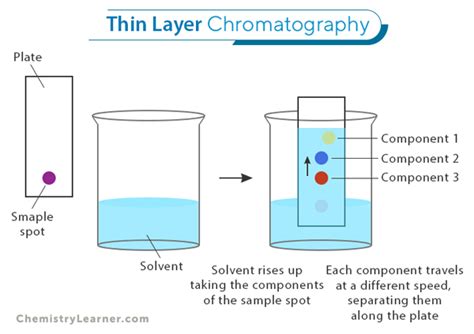 7 Thin Layer Chromatography Chemistry Courses