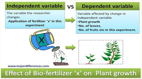 Download 7 Identifying Independent Variables And Dependent 