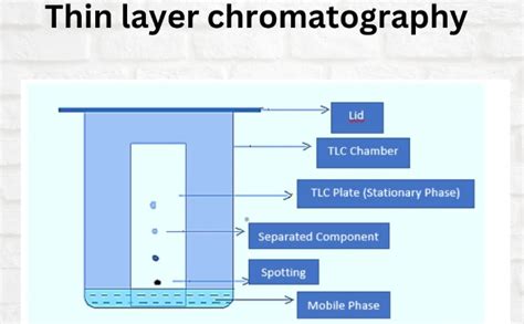 Read Online 7 Thin Layer Chromatography Chemistry Courses 