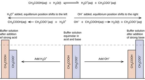 7.1: Acid-Base Buffers - Chemistry LibreTexts - wintechmobiles.com