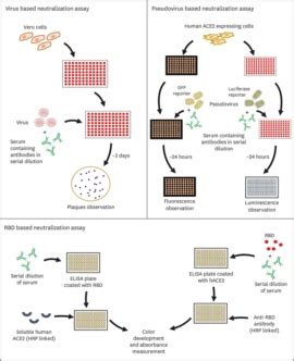 7.1.1 General Neutralization Procedures - Cornell University - wintechmobiles.com