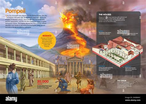 7.8: Eruptions of Vesuvius and Pompeii - Social Sci LibreTexts - wintechmobiles.com