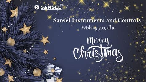 70+ "Sansel" profiles LinkedIn. 