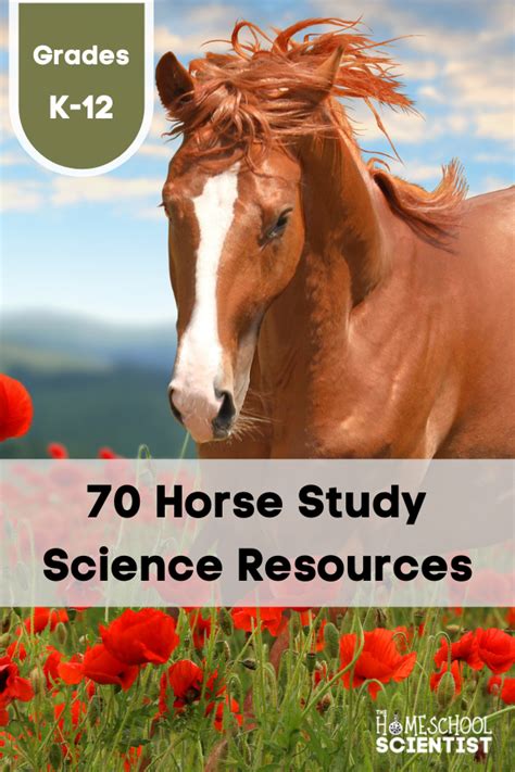 70 Awesome Resources For A Horse Science Study Horse Science - Horse Science