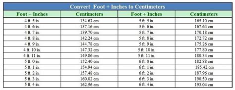 70 Cms In Feet