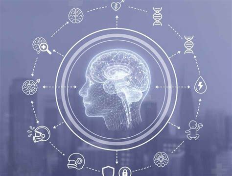 70551 Halı ve Koltuk Yıkama