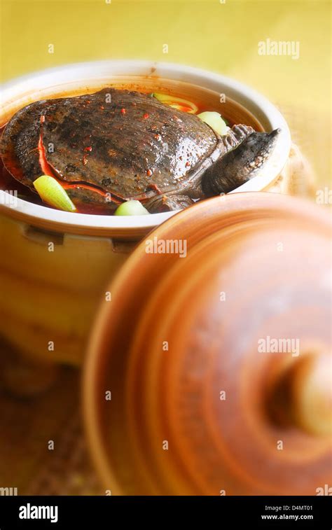 709 Turtle soup Images, Stock Photos & Vectors Shutterstock