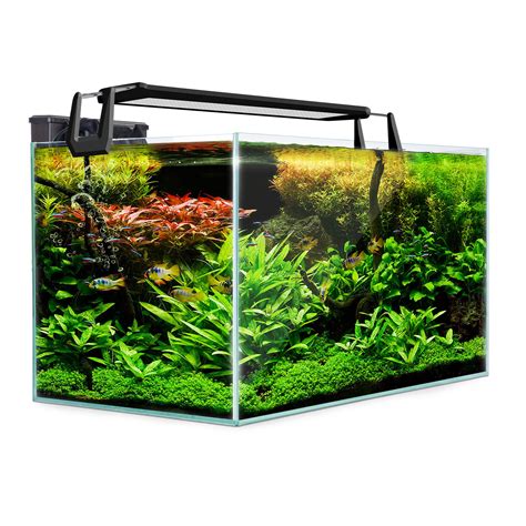 70L Juwel Glass Aquarium Fish Tank with LED Light used eBay