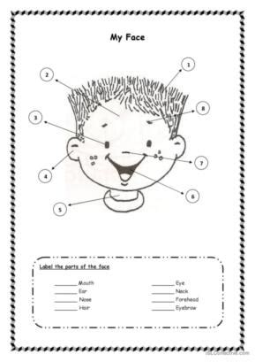 71 Face English Esl Worksheets Pdf Amp Doc Parts Of The Face Worksheet - Parts Of The Face Worksheet