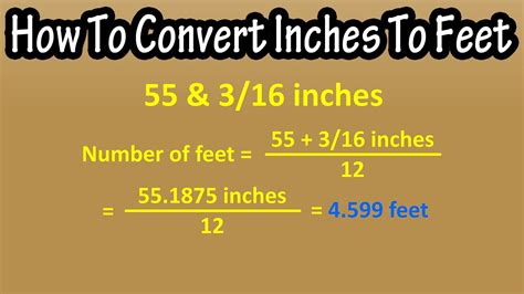 71inches In Feet