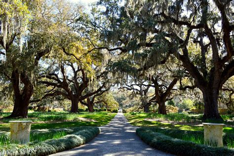 72 Brookgreen Gardens ideas myrtle beach, myrtle beach area, …