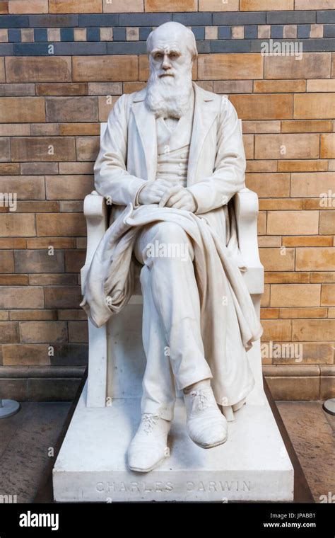 72 Charles Darwin Statue Premium High Res Photos - Getty Images