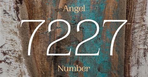 7227 Halı ve Koltuk Yıkama