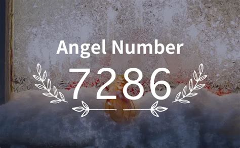 7286 Halı ve Koltuk Yıkama