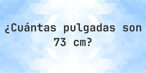 73 Cm In