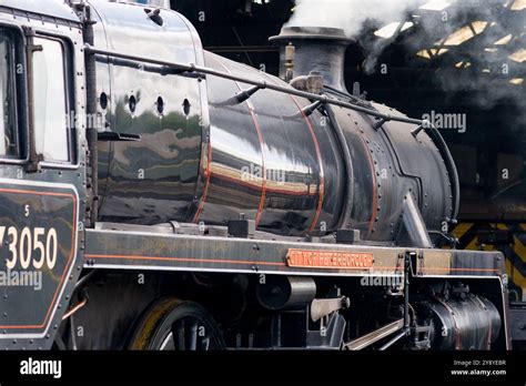 73050 Halı ve Koltuk Yıkama